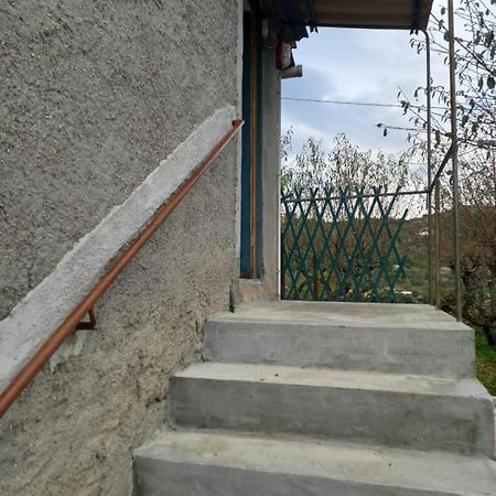 Casa Vita Apartment Vallebona Exterior foto