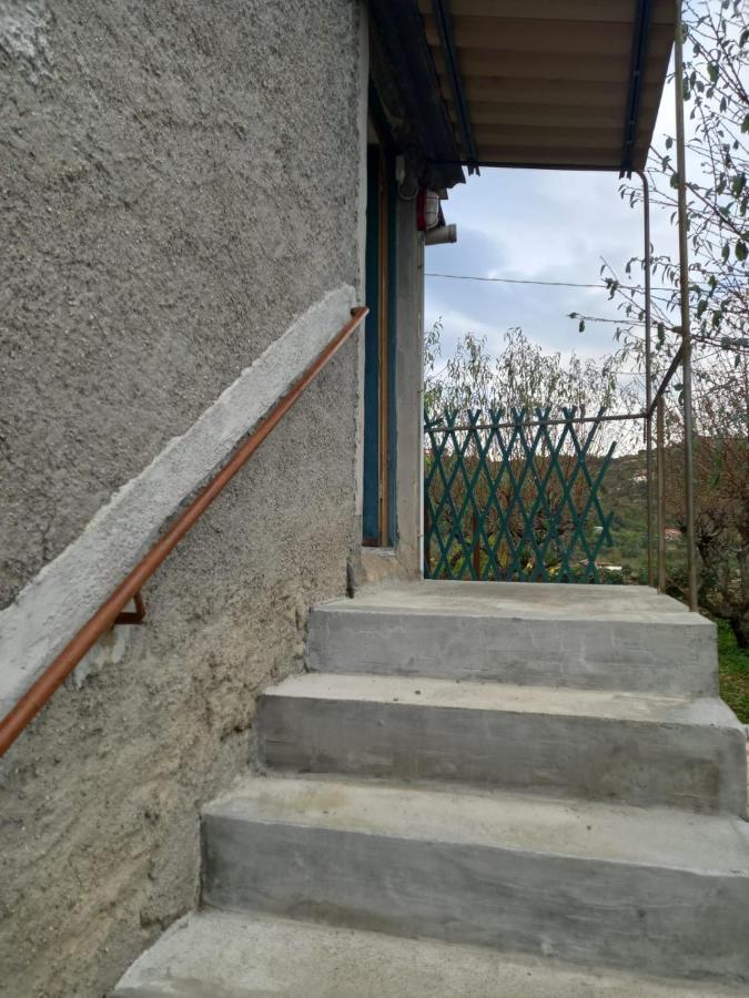 Casa Vita Apartment Vallebona Exterior foto